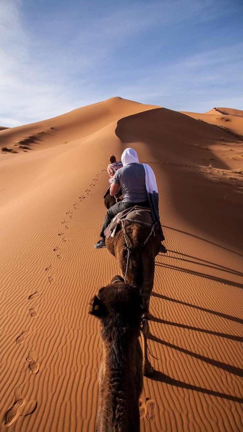 Merzouga Lodge エクステリア 写真